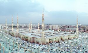 رحلات إلى المدينة
