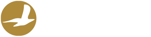 Cham Wings